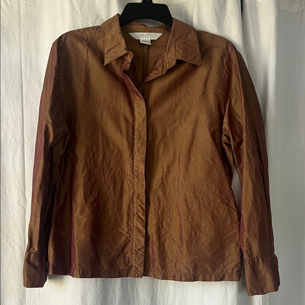 Express Copper Silk Blouse